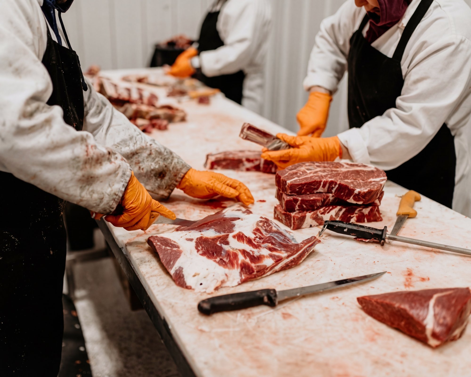 USDA inspected meat processing facility